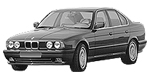 BMW E34 P396F Fault Code